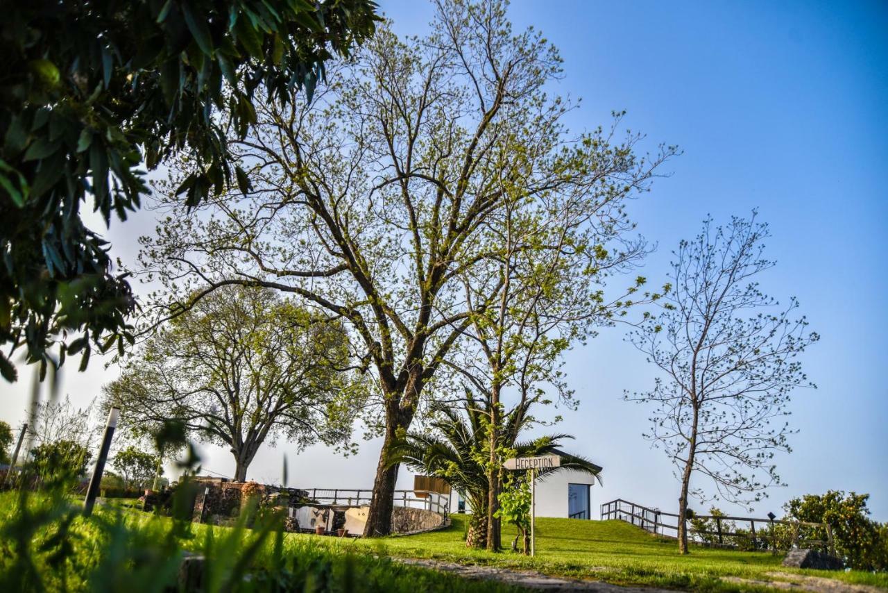 Agro Sicily 3*